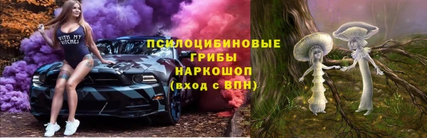 тгк Алексин