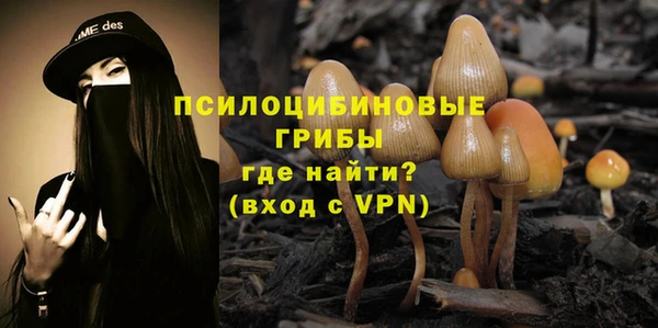сатива Арсеньев