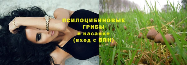 тгк Алексин