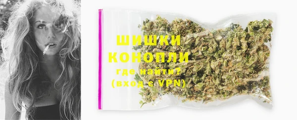 сатива Арсеньев