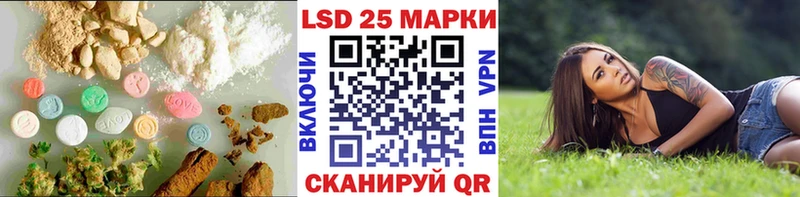 магазин наркотиков Георгиевск Лсд 25 экстази ecstasy