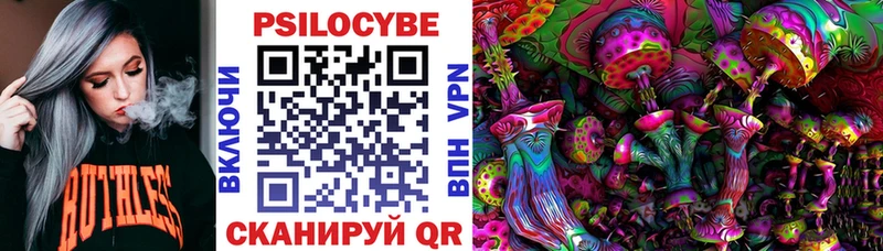 наркотики  Георгиевск  Галлюциногенные грибы прущие грибы 